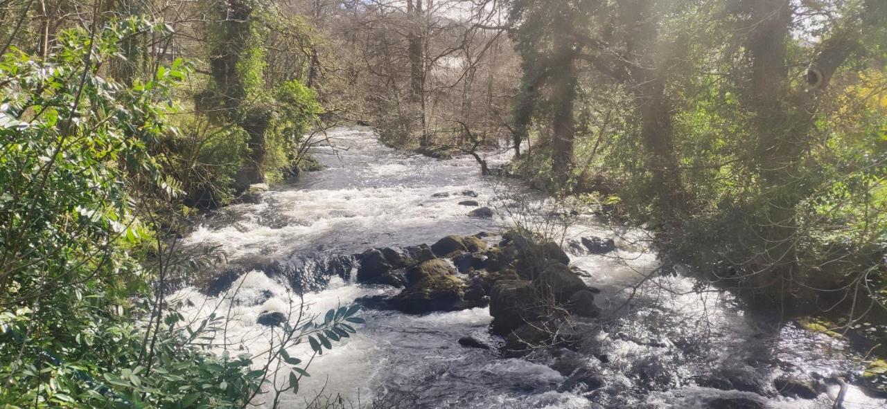 The Annex Roundaway Lodge Okehampton Luaran gambar