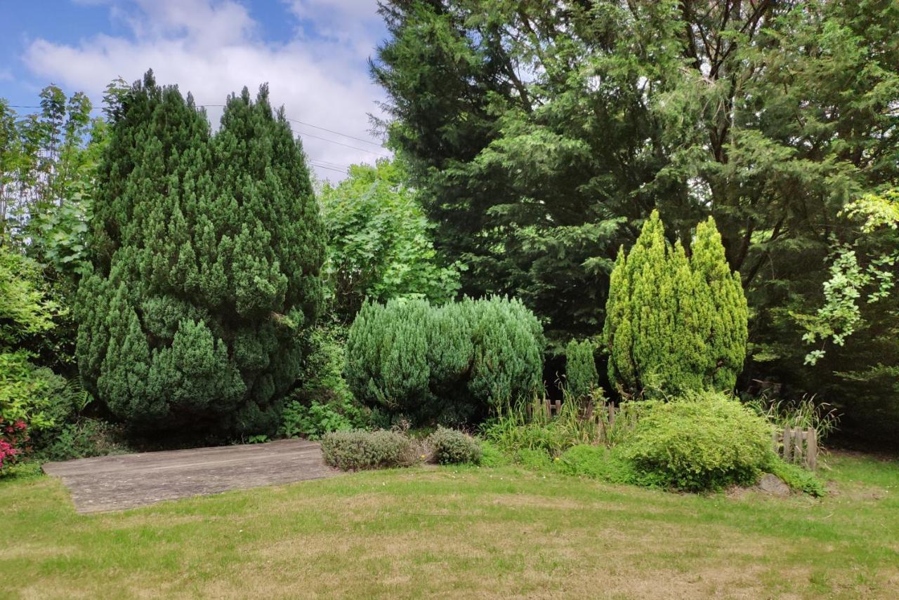 The Annex Roundaway Lodge Okehampton Luaran gambar