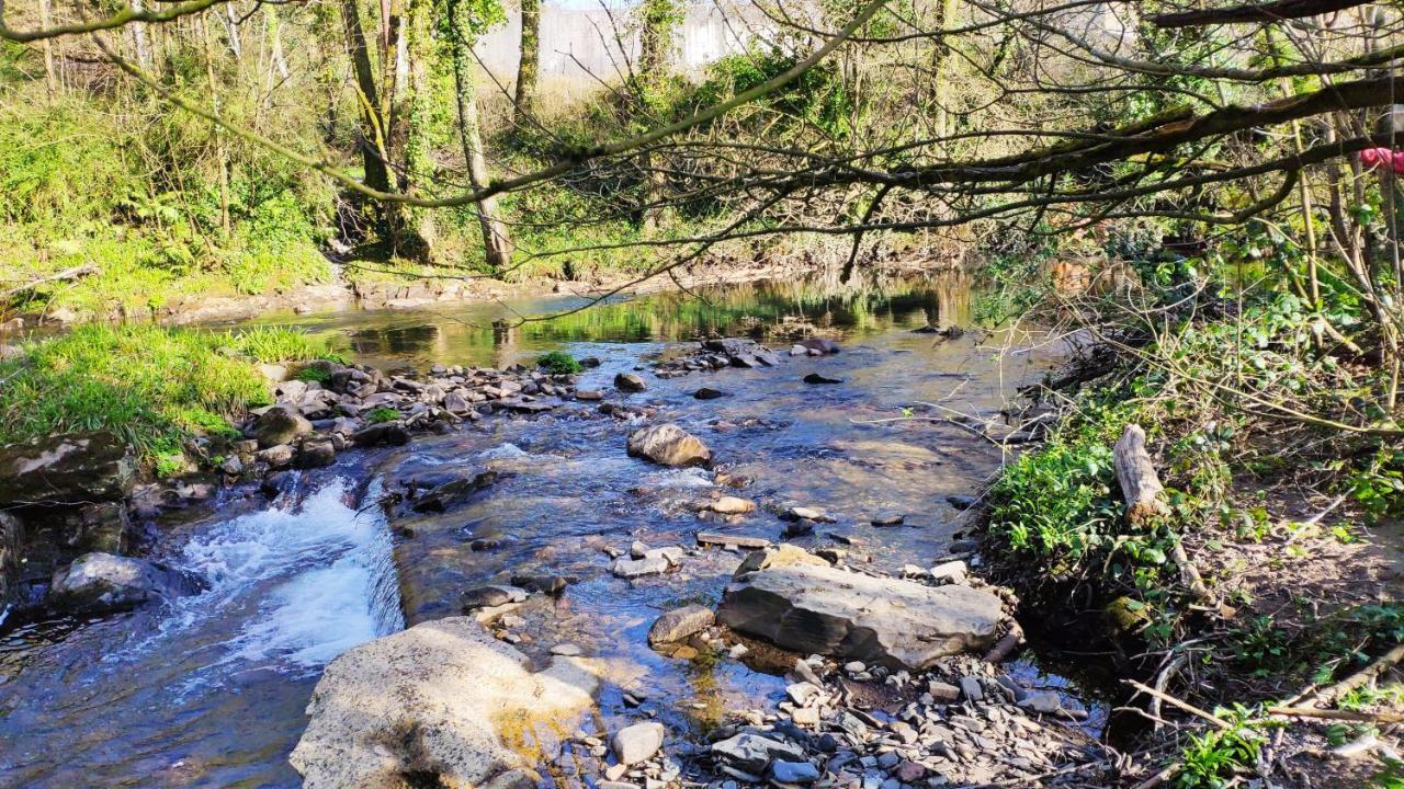 The Annex Roundaway Lodge Okehampton Luaran gambar